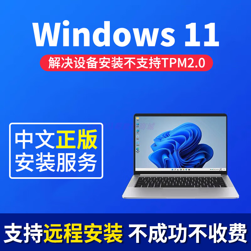 专业计算机系统服务指南 Win11系统重装、远程Win10无损升级、笔记本双系统安装